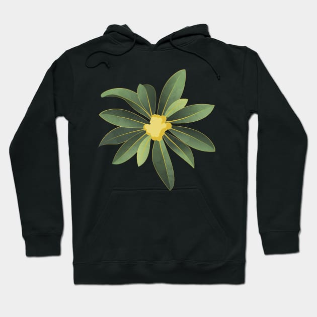 Loquat medlar flower in Autumn Hoodie by SelmaCardoso